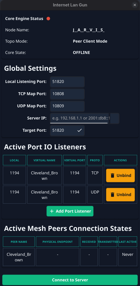 Internet LAN Gun Client Interface