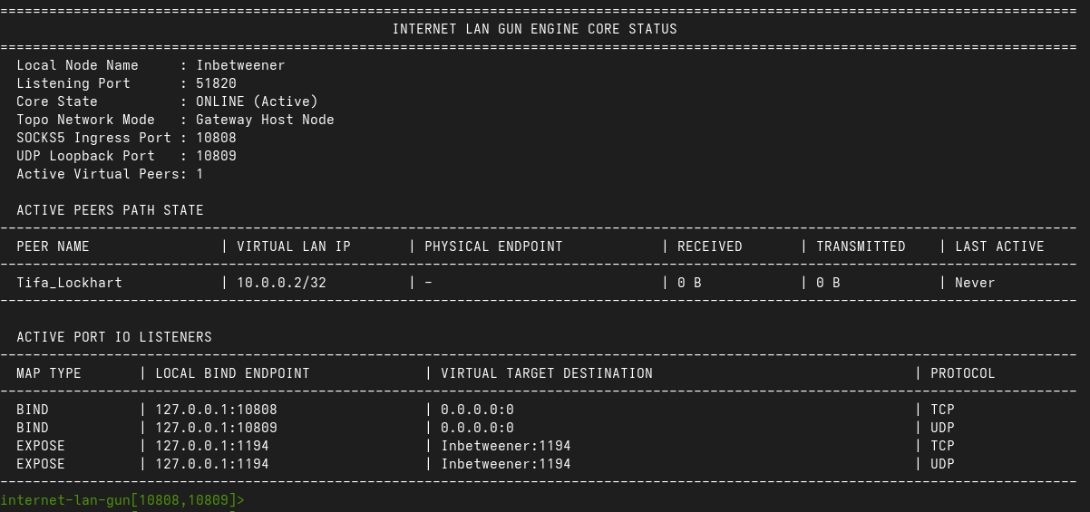 Internet LAN Gun Console Interface